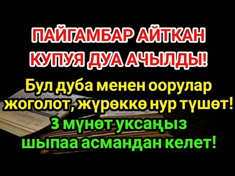Видео: Пайгамбардын Купуя Дубасы! Асмандан Шыпаа Түшөт! 💫