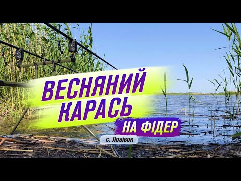 Видео: Ловля карася на фідер. с.Лозівок. Рибалка біля Дніпра. Рибалка в Черкасах.