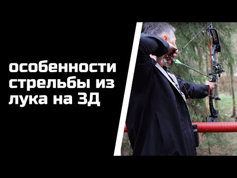 Видео: Особенности стрельбы из лука на 3D