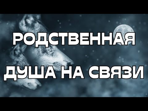 Видео: 🚨РОДСТВЕННАЯ ДУША НА СВЯЗИ🕊️☎️