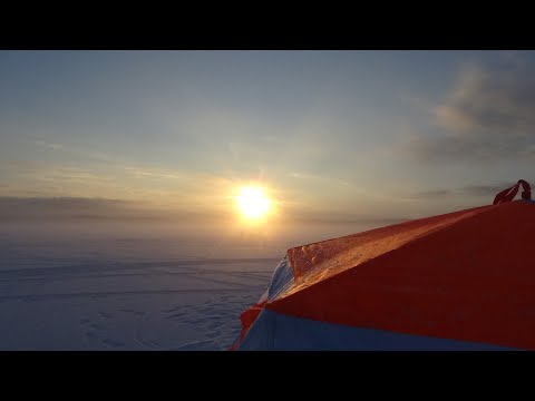 Видео: РИПУС УВИЛЬДЫ тащу по 3 ШТ  НА ЭТОМ РЫБАЛКА ЗАКОНЧЕНА ЗАПУТАЛ - УТОПИЛ - ЗАВЯЗАЛ