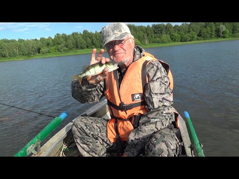 Видео: Ока.3дня на воде. Июнь.2022.