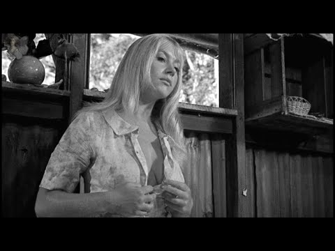 Видео: 📷 Вы не готовы к этим 50 шокирующим винтажным фотографиям!