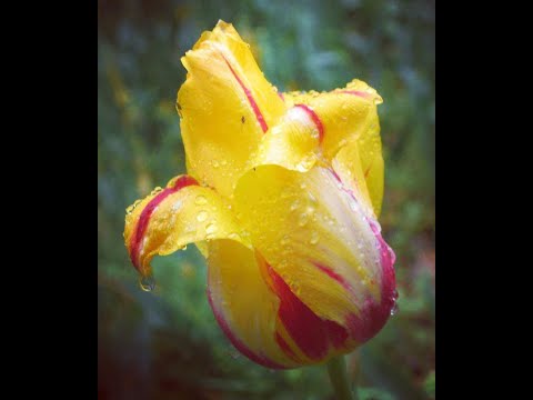 Видео: Урок 6