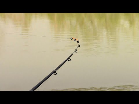 Видео: ЛЕЩИ ЗАГИБАЮТ НА КАЖДОМ ЗАБРОСЕ !Ловля Леща на Реке.