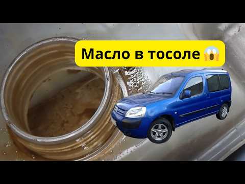 Видео: Масло погнало в тосол- я в шоке! В чём причина и что делать.