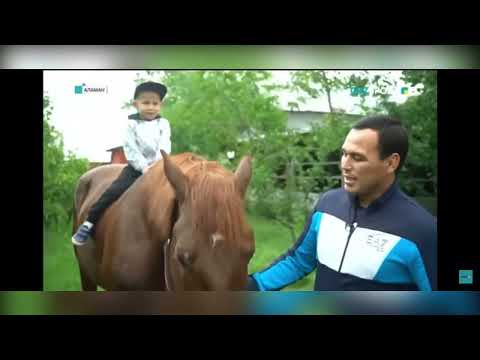 Видео: Ғалымжан Жомарт шабандоздар Шайхан Қажы мырзаның Байторе жайлы сұқпаты. Өте керекмет😍