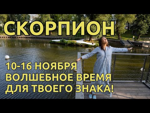 Видео: СКОРПИОН! ПО-ТРЯ-САЮ-ЩЕ! 10-16 НОЯБРЯ - Волшебство КАКОЕ-ТО! Очень красивые ЭНЕРГИИ для ВАС!