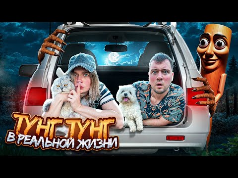 Видео: ТУНГ ТУНГ В РЕАЛЬНОЙ ЖИЗНИ | НОЧЬ В БАГАЖНИКЕ С КОТАМИ