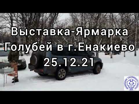 Видео: Ярмарка-Выставка голубей в г.Енакиево 25.12.21