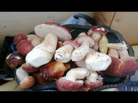 Видео: Наконец то !