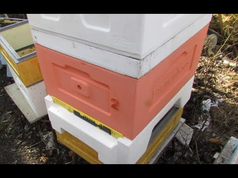 Видео: ошибки пчеловода при выборе улья на пасеке - какой улей лучше выбрать для пасеки и почему - часть 1