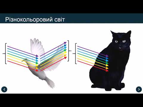 Видео: Розкладання білого світла на кольори