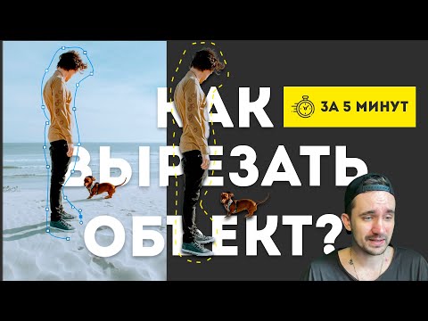 Видео: Как ВЫРЕЗАТЬ или УДАЛИТЬ объект в ФОТОШОПЕ | Как заменить фон