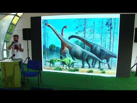 Видео: Тафония, палеогеография Шестаковского комплекса: что мы знаем об экосистеме илекской свиты?