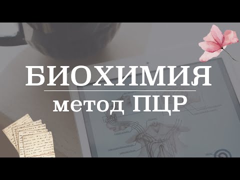 Видео: Полимеразная цепная реакция (ПЦР) | Микробиология/Биохимия