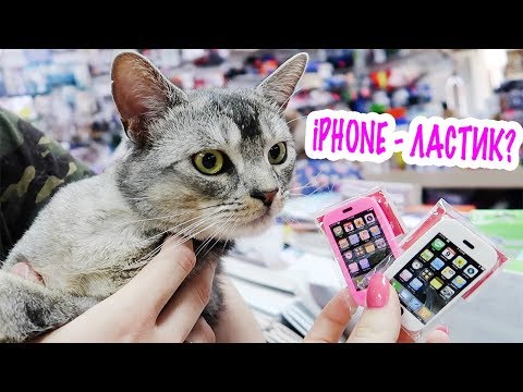 Видео: КОТ БЕЗ ЛАПКИ И КАНЦТОВАРЫ ДЛЯ ШКОЛЫ