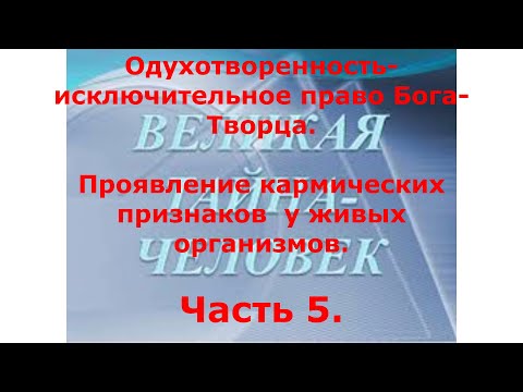 Видео: 41 Кармические привычки .Часть 5