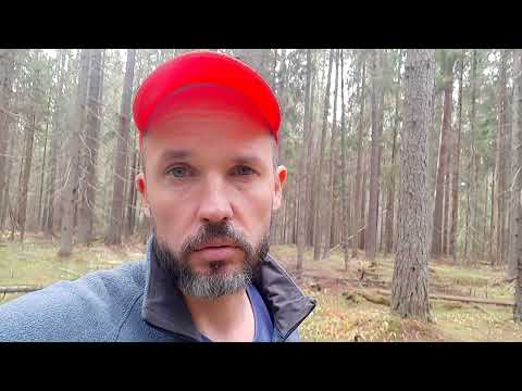 Видео: Что делать, если встретил медведя в лесу? Что делать при нападении медведя?