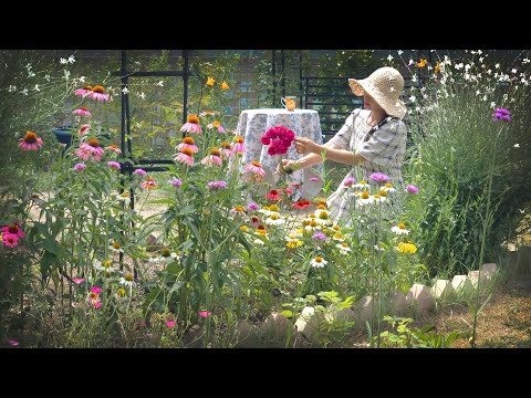 Видео: #92. Я поспорила с мужем из-за садового вопроса. А ты?😂 ㅣJuly Summer Garden