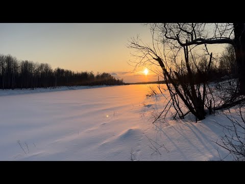 Видео: Жизнь в Сибирских Афинах 🪗 - В погоне за Дичью ..,