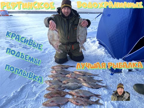 Видео: Моя лучшая рыбалка на Леща. Крупный Лещ. Рефтинское водохранилище.