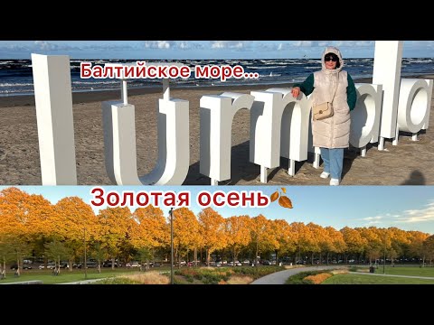Видео: ✅Юрмала- золотая осень в курортном городе… #latvija #vlog #marido66 