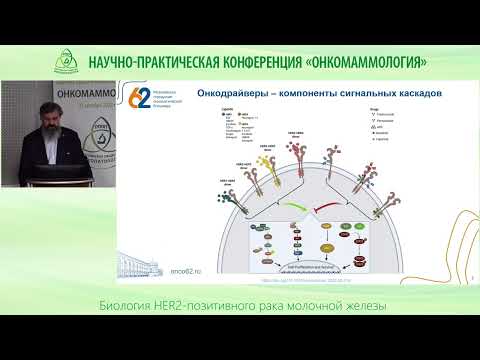 Видео: Биология HER2 позитивного рака молочной железы