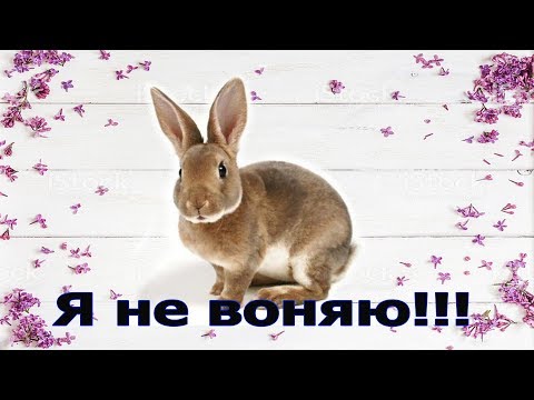 Видео: Социальный опрос на рынке - Воняет ли Кроличье мясо?
