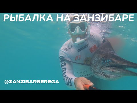 Видео: СЕРЕГА ЗАНЗИБАР Охота под водой — попал с первого выстрела!