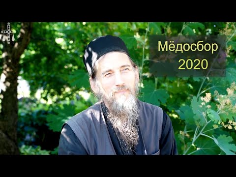 Видео: Мёдосбор 2020: Без любви и пчела не живет в монастыре - Игумен Варлаам (Максаков)