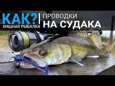 Видео: Как? Рабочие проводки на судака. Рыбалка на джиг с берега.