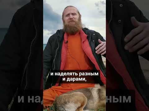 Видео: Зачем бог создал мир, полный страданий?