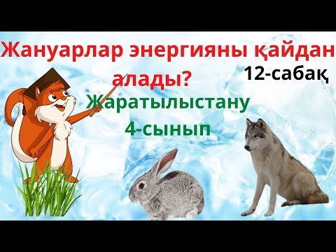 Видео: Жануарлар энергияны қайдан алады? 4- сынып. 12-сабақ