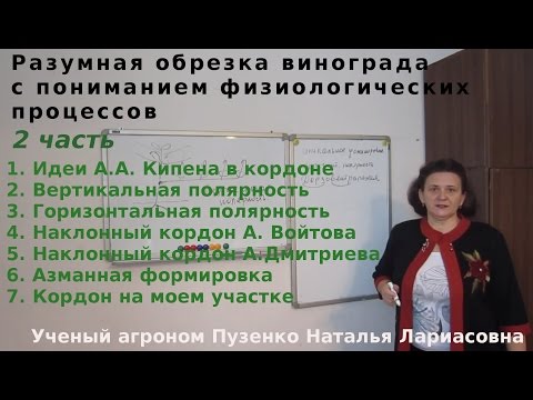 Видео: 2 фильм "Формировка винограда- методы, принципы, виды" Кордон