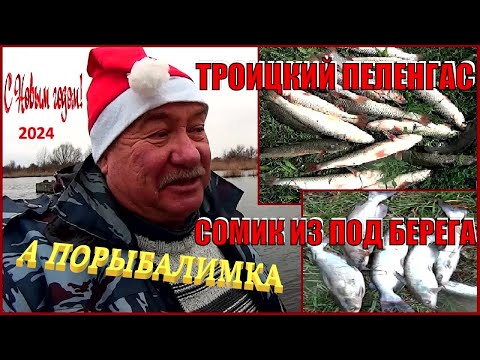 Видео: С Новым годом!!! Троицкий пеленгас и сомик из под берега.  А порыбалимка 1-й выпуск 24г.