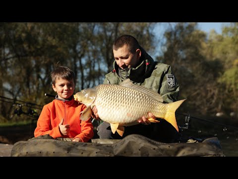 Видео: РЫБАЛКА НА КАРПА В НОЯБРЕ. КАРПФИШИНГ