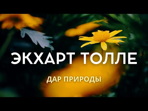 Видео: Дар природы - Экхарт Толле [NikOsho]