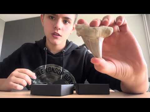 Видео: Редки фосили unboxing!