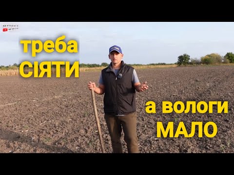 Видео: Все буде🇺🇦 РОБОТА НА ЗЕМЛІ. Сіяти чи не СІЯТИ⁉️ ТО нашого ДТЗ 5504к❗️Кукурудза вже готова