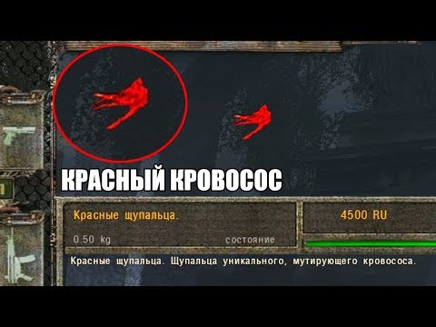 Видео: РЕДКИЕ ЩУПАЛЬЦА КРАСНОГО КРОВОСОСА. STALKER НАРОДНАЯ СОЛЯНКА 2016 #4