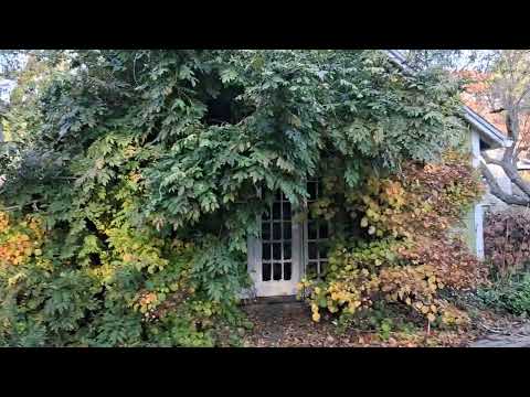 Видео: Астрология 9 ноября 2025 года: Меркурий становится ретроградным...