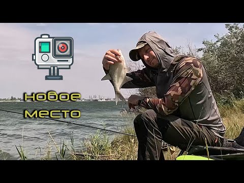 Видео: Рыбалка на фидер. Нашел новое место. Рыба есть