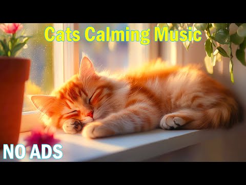 Видео: 12 часов успокаивающей исцеляющей музыки для кошек🐾Музыка, которая поможет кошкам уменьшить беспоко