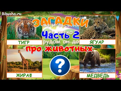 Видео: ЗАГАДКИ ПРО ЖИВОТНЫХ - Часть 2 | Загадки для детей