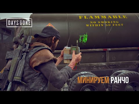 Видео: Days Gone Орда на ранчо Айрон-Бьютт - Минируем ранчо