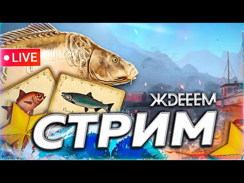 Видео: 🍁 ЖДЁЁЁЁЁМ 🍂 КАРП ЯНТАРНОЕ ЧАВЫЧА ЯМА ОСЕТР ТУНГУСКА МОРЕ РЕДКОСТИ Русская Рыбалка 3aekkk РР4