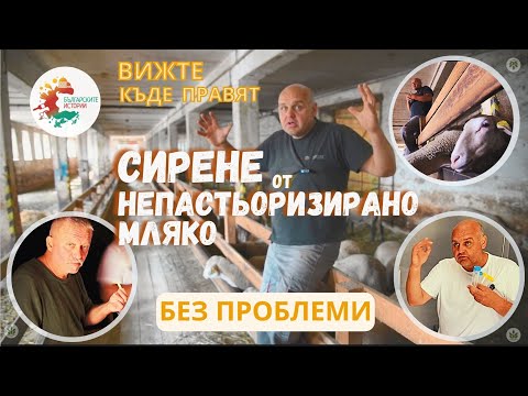 Видео: Къде правят сирене от непастьоризирано мляко, така както е правено хиляди години от дедите ни ?