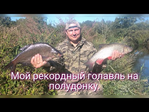 Видео: Мой рекордный голавль на полудонку. Поимка леща на реке.