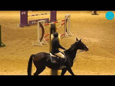 Видео: Конкур 140 см., открытый класс, с перепрыжкой. Чемпионат РК. Астана, 22-10-23